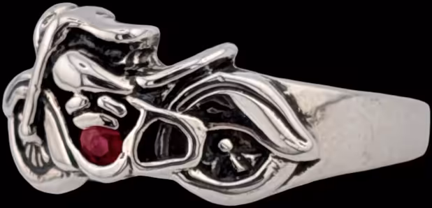 Motorcycle Ring - right side profile over rear fender