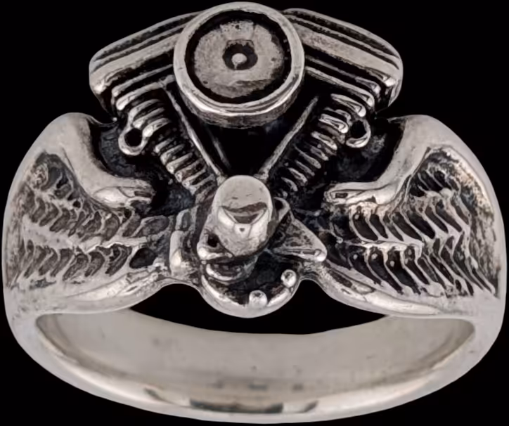 Evolution Ring on wings - bottom up view of engine