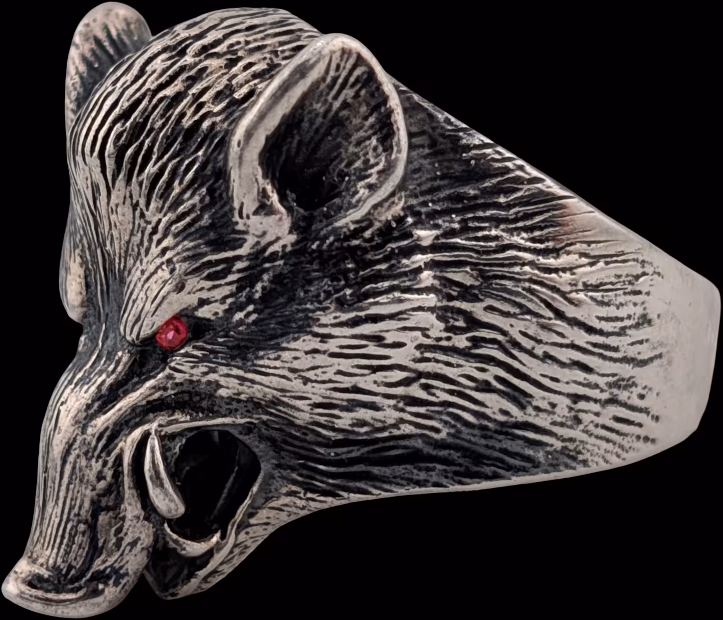 Large Boar Ring - left profile looking towards tusk