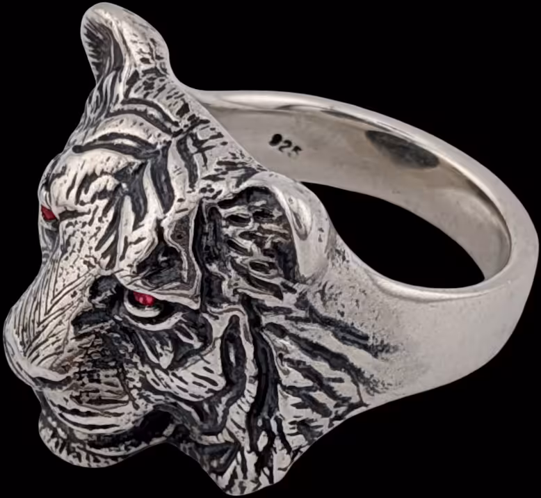 Large Tiger Ring - top right profile over ear