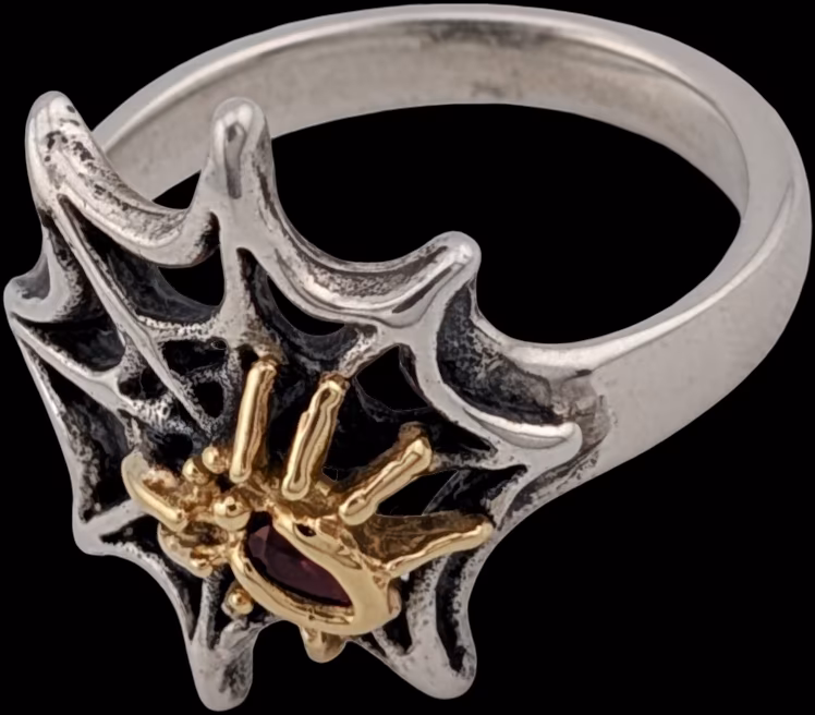 Spiders Web with Spider Ring top left profile over web
